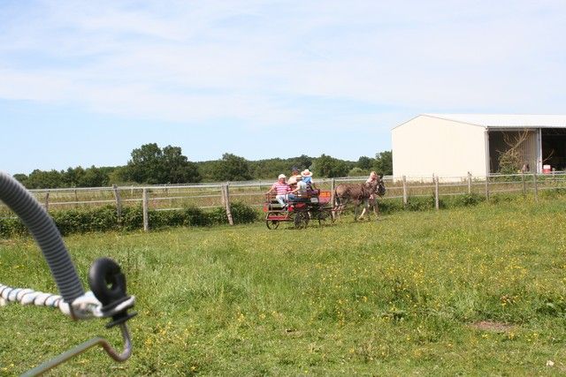 2015-07-06 rando anes (53).JPG